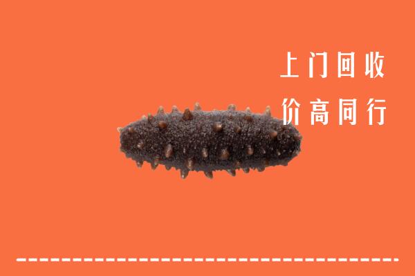 海西市回收海参